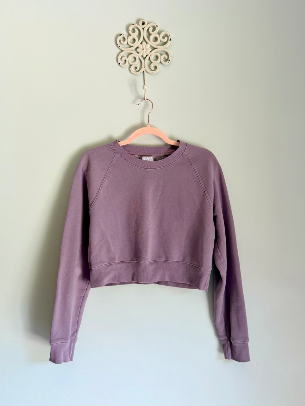TNA Cozy Fleece by Aritzia Crewneck sweatshirt
- grape soda Purple